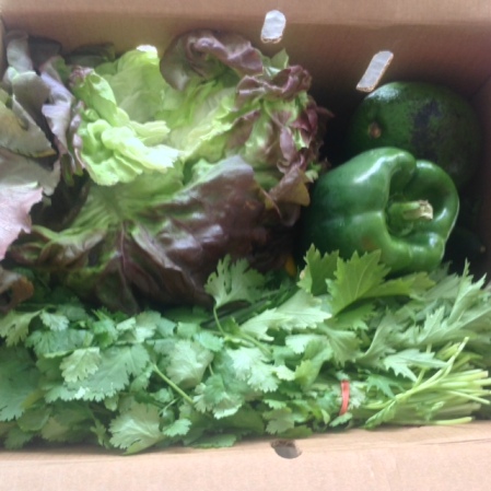 open box of greens and bell peppers